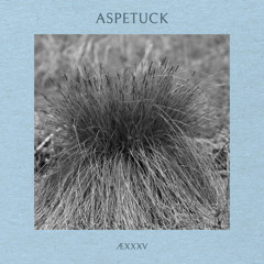ÆXXXV - Aspetuck