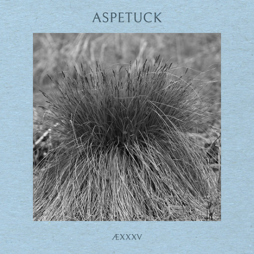 ÆXXXV - Aspetuck