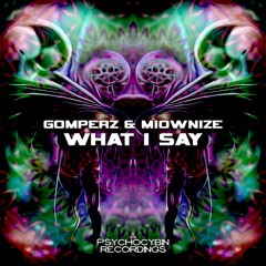 Gomperz & MioWnize - What I Say