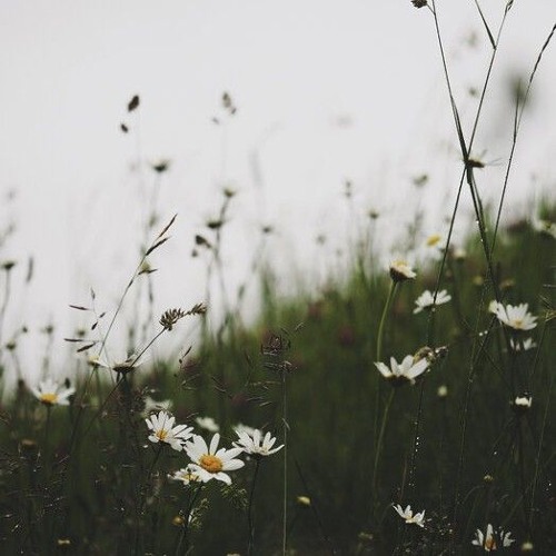 𝙂𝙞𝙧𝙡 𝙂𝙤𝙧𝙜𝙚𝙤𝙪𝙨'⁽ᴰᵉᵐᵒ⁾ - loveroché