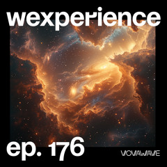 WExperience #176