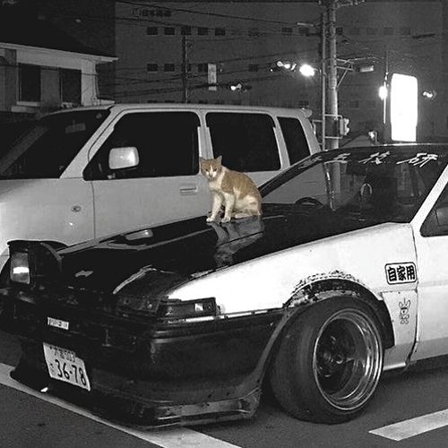 AINT SCARED OF ANYTHING