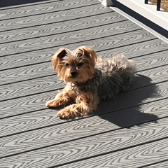 The Last Emo/Punk Mix You'll Ever Need