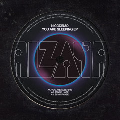 Premiere: Nicodemo - You Are Sleeping [Alzaya Records]