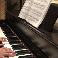 Imagine Dragons - Believer(piano)