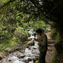 230723 / Listen Fauna / Jorge MINCETUR / ANP PNYCH Binaural