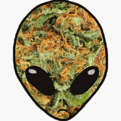 baby's first dubstep