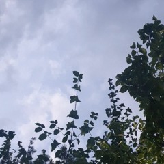 어제보다 오늘 더