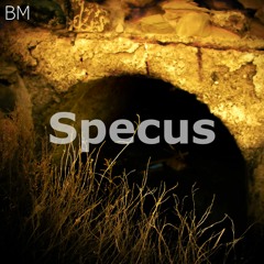 Specus