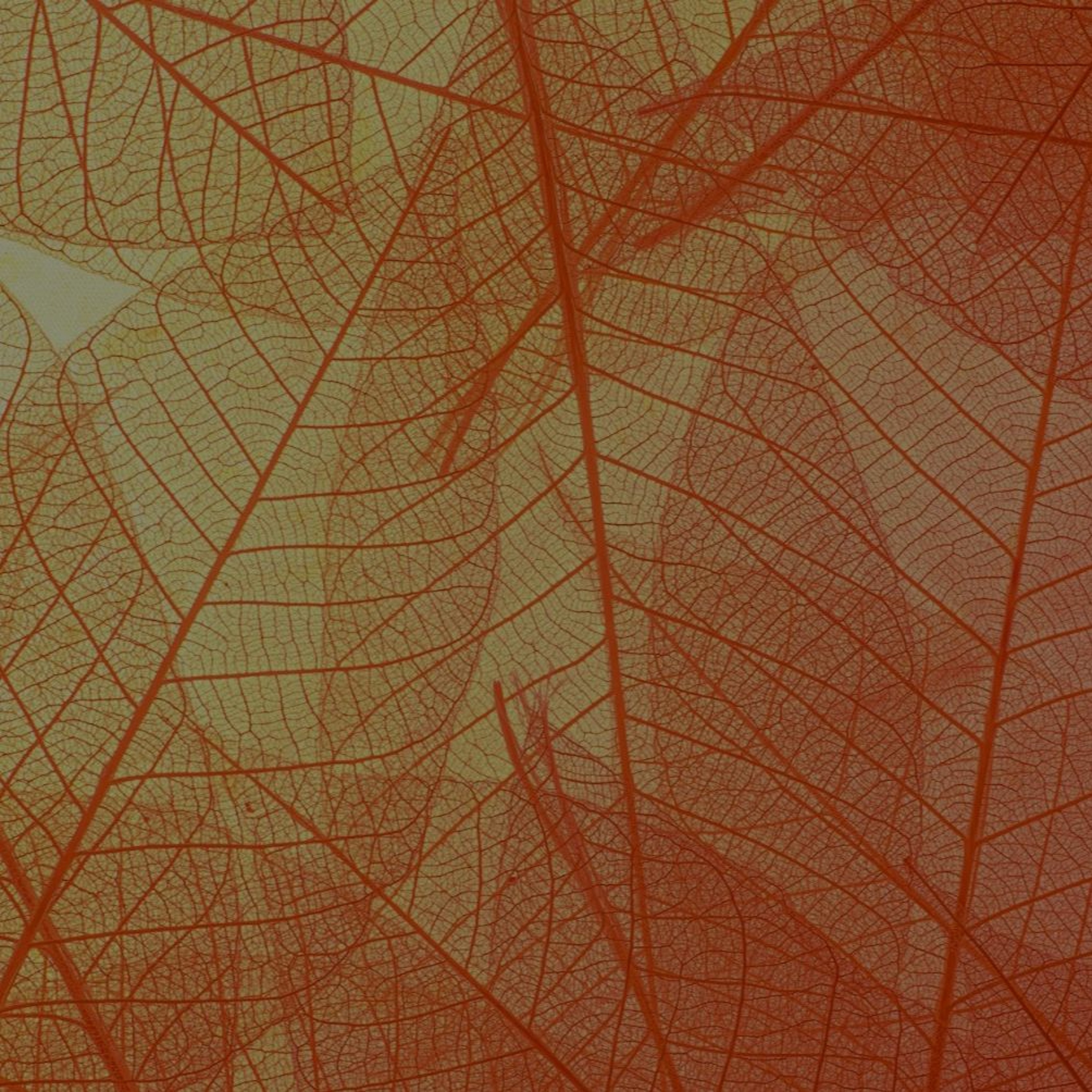 Connectkerk | Podcast