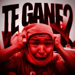 TE GANE VOL 2 (SLOWED BASS BOOSTED)