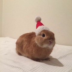 KIKI 12.05.23 | VISLA FM