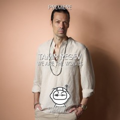 PREMIERE: Tamir Regev - We Are The Wolves [Melodic Therapy]