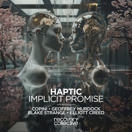 PREMIERE: Haptic - Descent To Waking (Original Mix) [Recovery Collective]