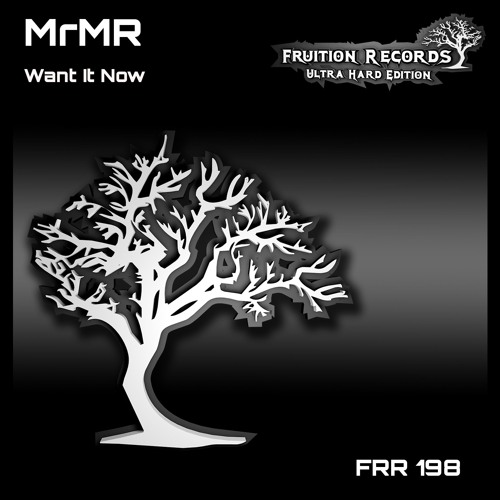 FR198 - MrMR - Want It Now (Fruition Records)