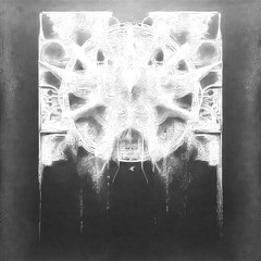 zav - above the cuckoo’s nests