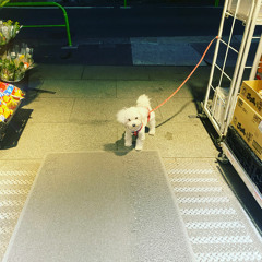 とてもいいね。