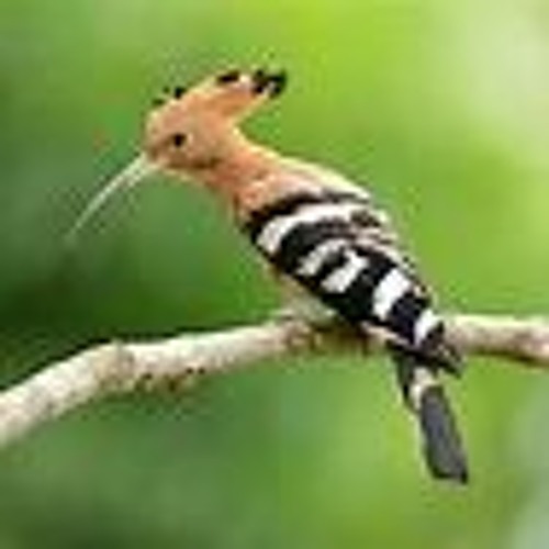 Stream Lend Me Your Ear by baza m Listen online for free on SoundCloud