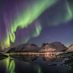 some things are better left unsaid