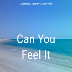 Zetamale, Stompy & Eazyvibe - Can You Feel It (Radio)