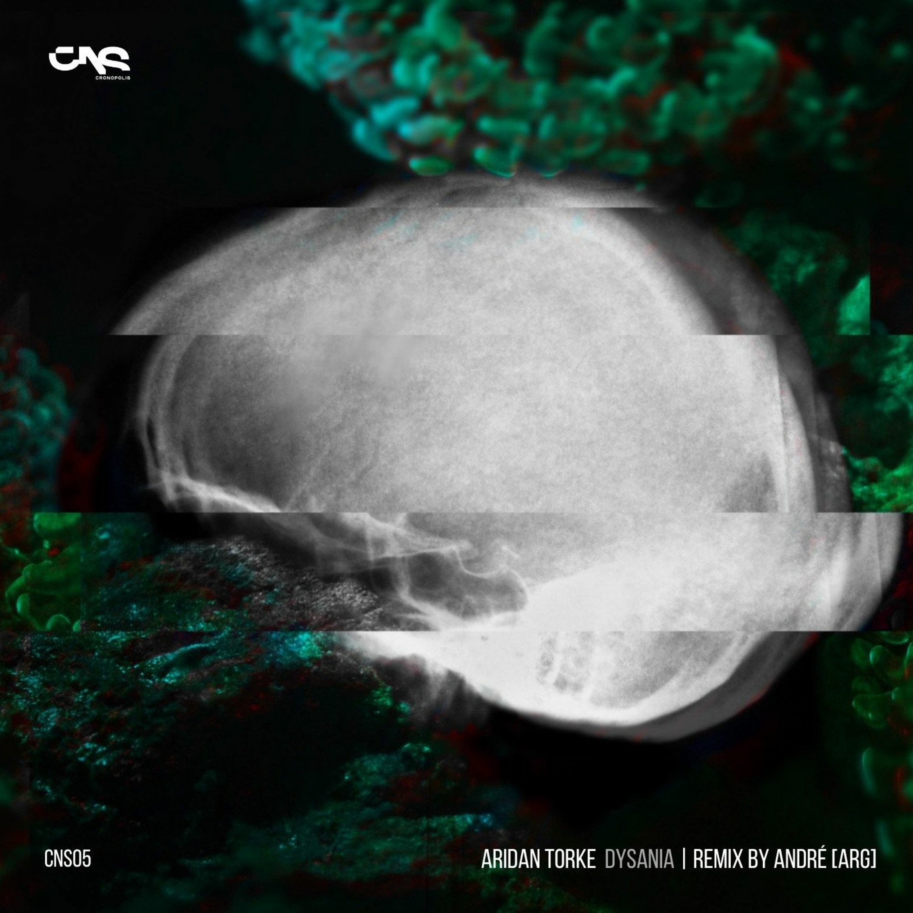 Premiere: Aridan Torke — Colorful Sculptures [Cronopolis Records] episode artwork