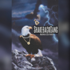 ShakebackGang (prod. MadeByKelo)