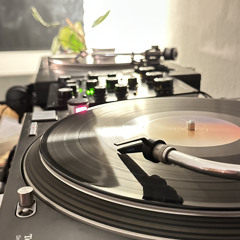 vinyl only 13 | hpny