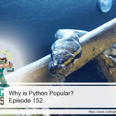 Why is Python Popular?