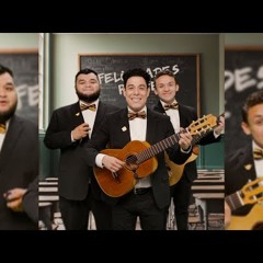 Canción del Maestro - Los Tres Tristes Tigres