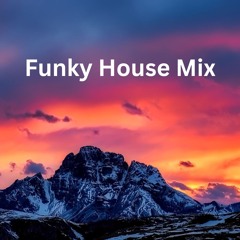 Funky House Mix ( May 2024 )