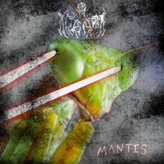Mantis
