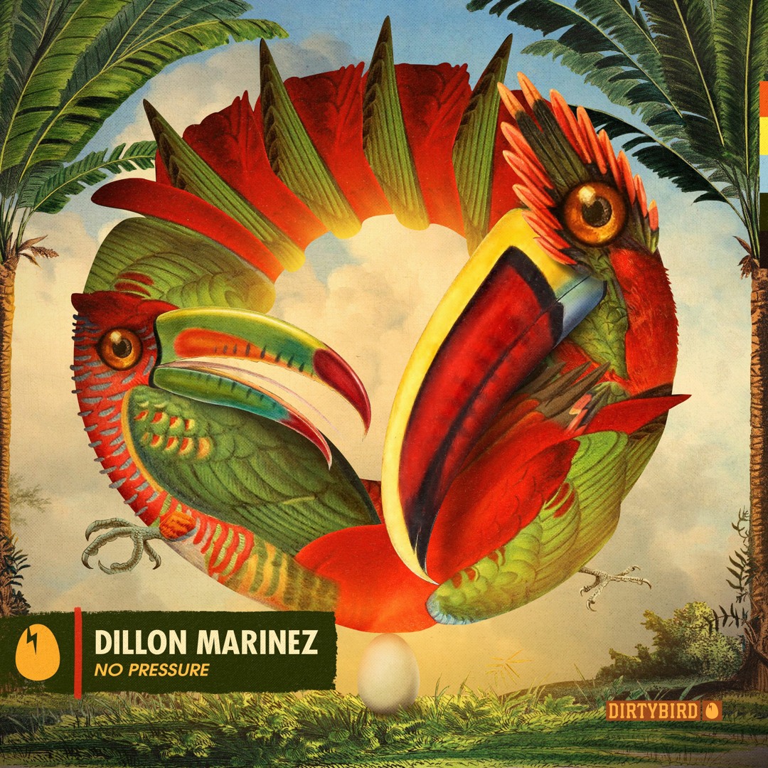 Stream DIRTYBIRD | Listen to Dillon Marinez - No Pressure