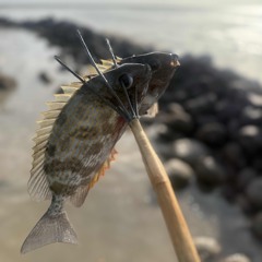 Can It Be - 2025 🔥🍻.m4a