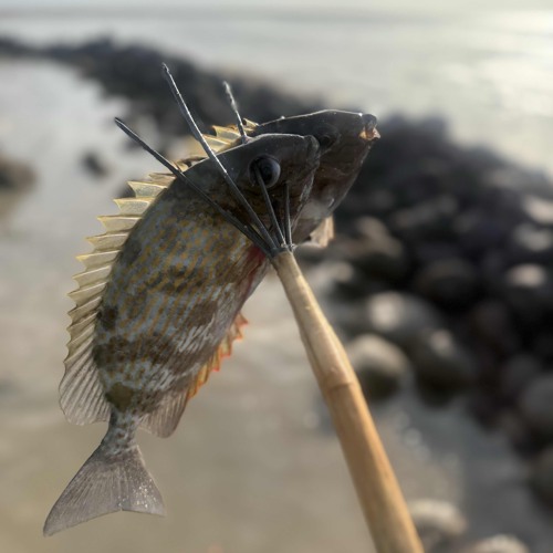 Can It Be - 2025 🔥🍻.m4a