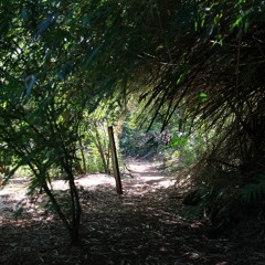 25.03.2021  - Cap. V - Bem Aventurados os Aflitos - Justiça das Aflições (16)