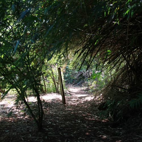 25.03.2021  - Cap. V - Bem Aventurados os Aflitos - Justiça das Aflições (16)