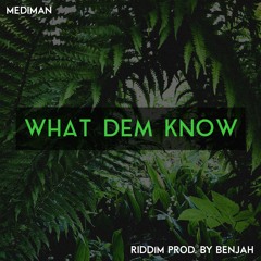 Mehdiman - What Dem Know (riddim Prod. By Benjah)