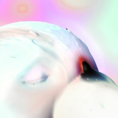 Un Oiseau
