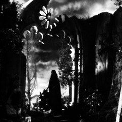 See Me in the Darkness