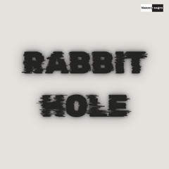Bad Monkey - Rabbit Hole (Extended Mix)