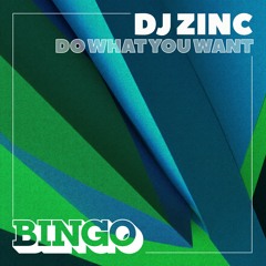 DJ Zinc - Do What you Want