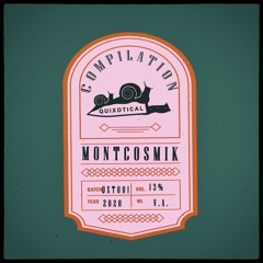 Montcosmik - Unknown Space [Quixotical Records]