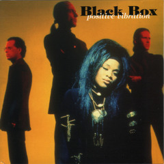 I've Got The Vibration(radio edit)