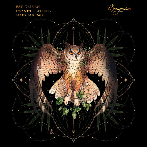 Emi Galvan - I Want to Believe (Maxxim Extended Remix) [Songuara]