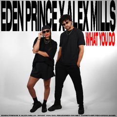 Eden Prince x Alex Mills - What You Do (Extended Mix)