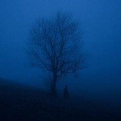 my head is empty - i was only temporary 2 u [swrlzxx edit]