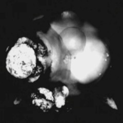 Terbalap Malam (Demo)