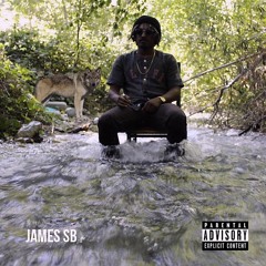 Sometimes  Ft Jay Kasai