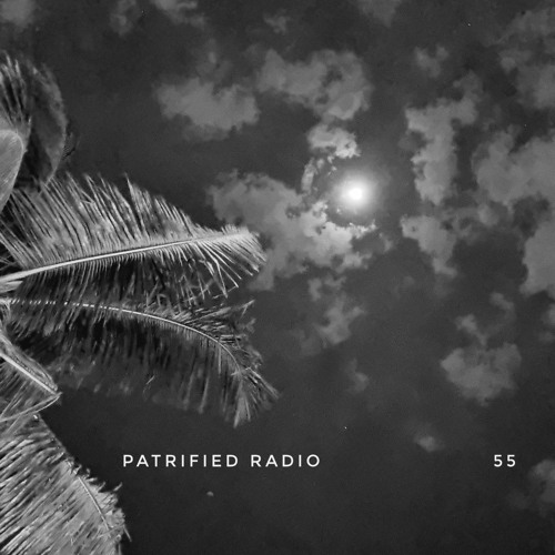 Patrified Radio 55