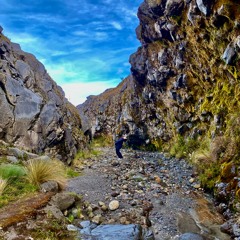 GAIA Set 01 By MARTE ELECTRONIC ROOM SERIE 2022